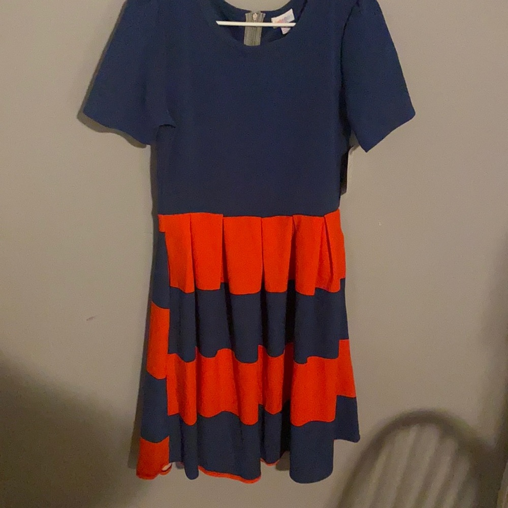 BNWT LuLaRoe Amelia dress